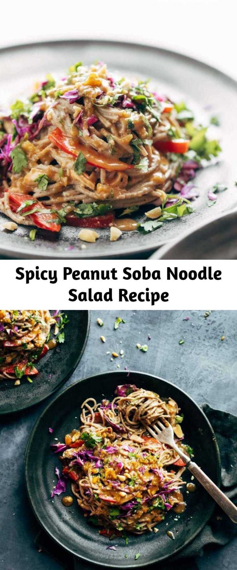 Spicy Peanut Soba Noodle Salad Recipe Mom Secret Ingrediets