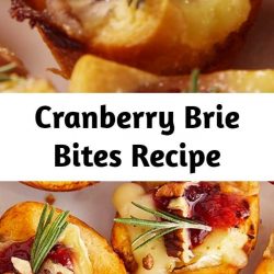 Cranberry Brie Bites Recipe These little guys are the perfect appetizer to make during the holidays. Not only do they come together in seconds, they disappear in seconds too! Canned cranberries work great, but if you've got homemade cranberry sauce leftover, use it! #food #comfortfood #holiday #lunch #dinner #easyrecipe #recipe #inspiration #ideas #home