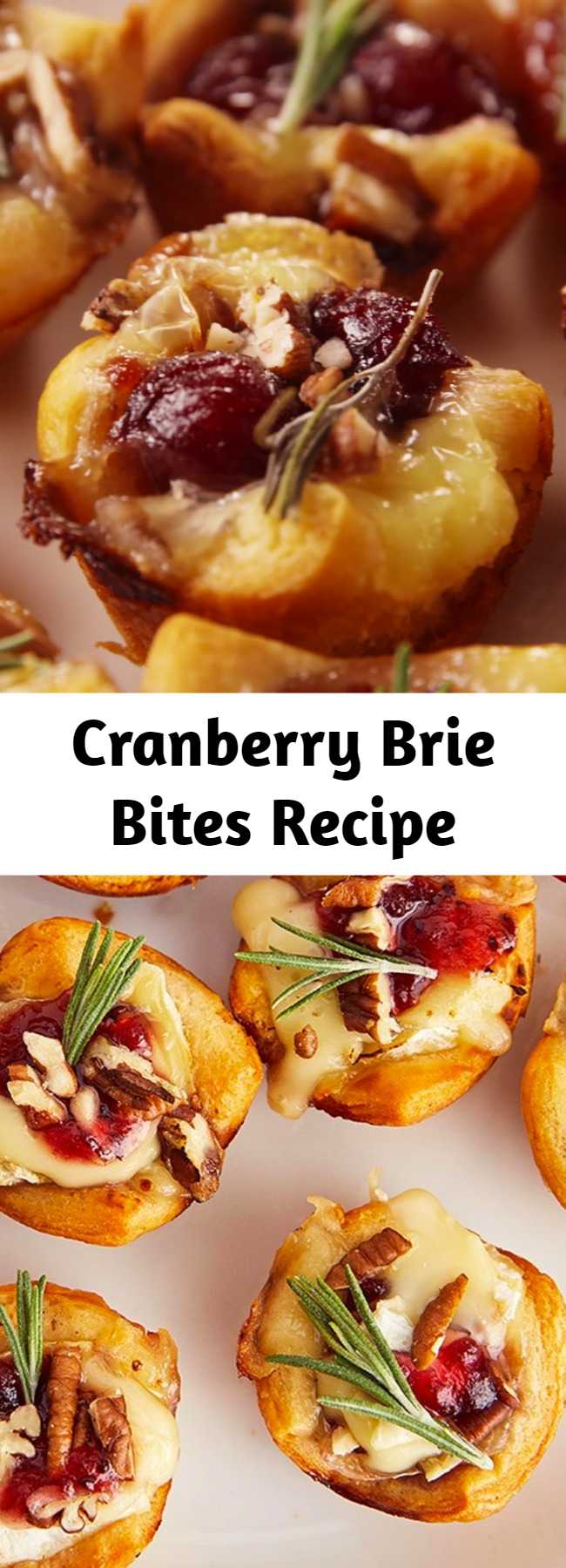 Cranberry Brie Bites Recipe - These little guys are the perfect appetizer to make during the holidays. Not only do they come together in seconds, they disappear in seconds too! Canned cranberries work great, but if you've got homemade cranberry sauce leftover, use it! #food #comfortfood #holiday #lunch #dinner #easyrecipe #recipe #inspiration #ideas #home