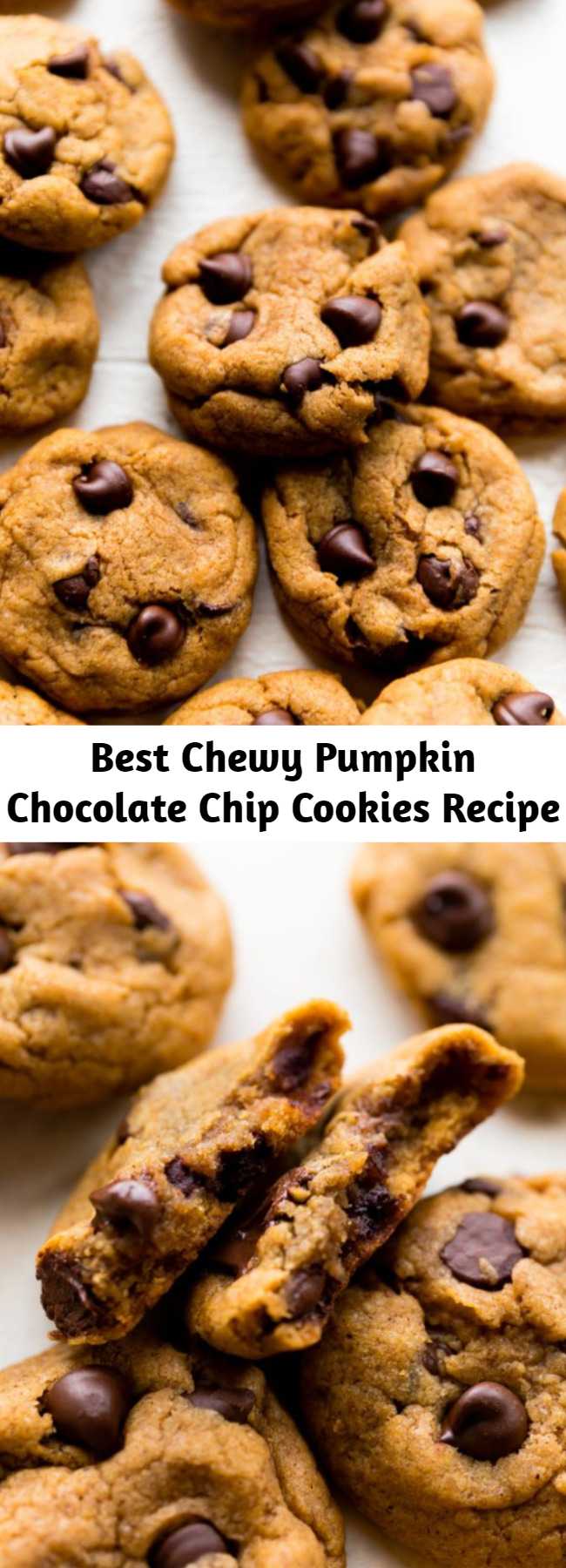 Best Chewy Pumpkin Chocolate Chip Cookies Recipe - I’m confident you’ll love these pumpkin chocolate chip cookies! Omitting the egg, using melted butter, and blotting the pumpkin guarantee a chewier texture.