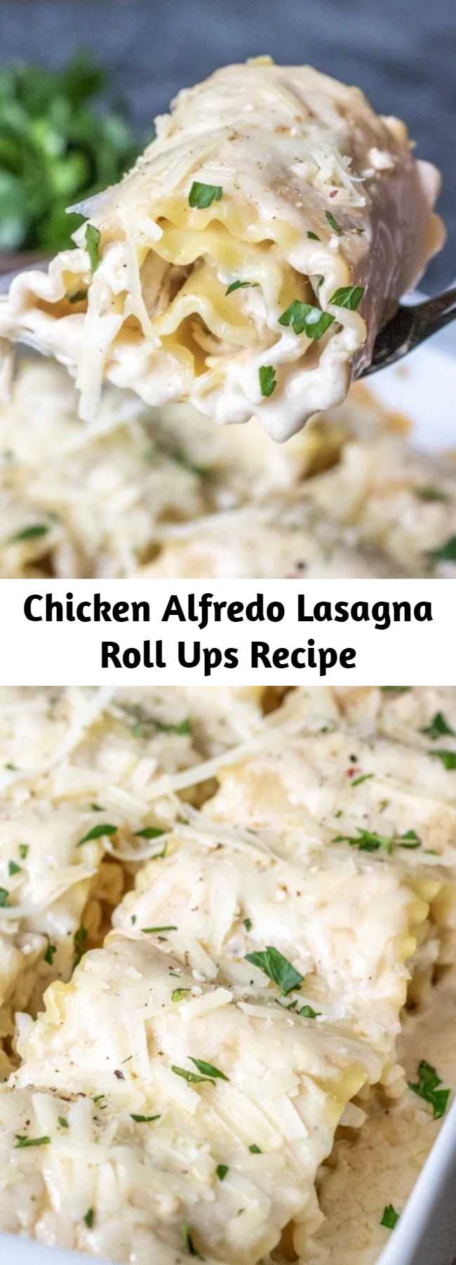 Chicken Alfredo Lasagna Roll Ups Recipe - These Chicken Alfredo Lasagna Roll Ups are all of the flavors of classic Chicken Alfredo rolled up into lasagna noodles to make easy lasagna rolls. A simple weeknight dinner recipe that the whole family will love. #lasagna #chickenalfredo #pasta #casserole