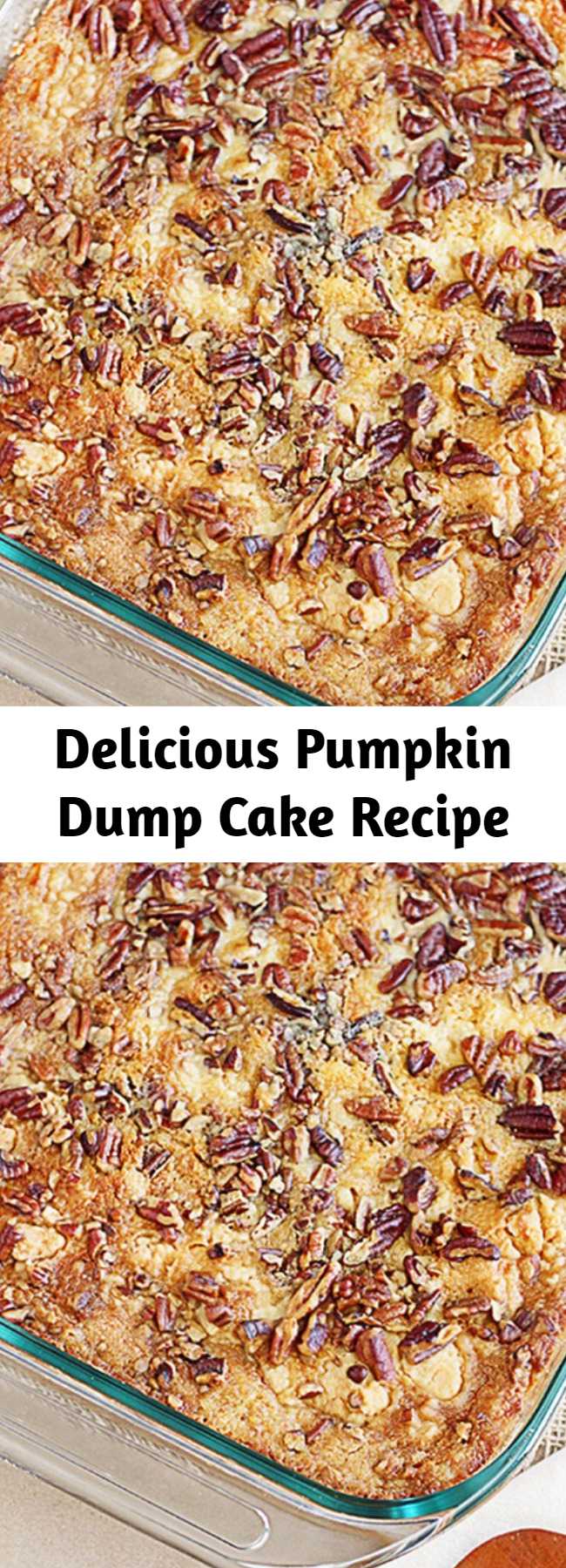 Delicious Pumpkin Dump Cake Recipe - This recipe is a sure fire win for all of you pumpkin lovers!  Yellow cake mix, pumpkin, butter and pecans are the ingredients that make this Pumpkin Dump Cake a favorite — and ready under an hour! The name is exactly how the recipe comes together — by ‘dumping’ the ingredients into a 13×9 cake pan.  After baking, add a dollop of whip cream and enjoy this heavenly delight!