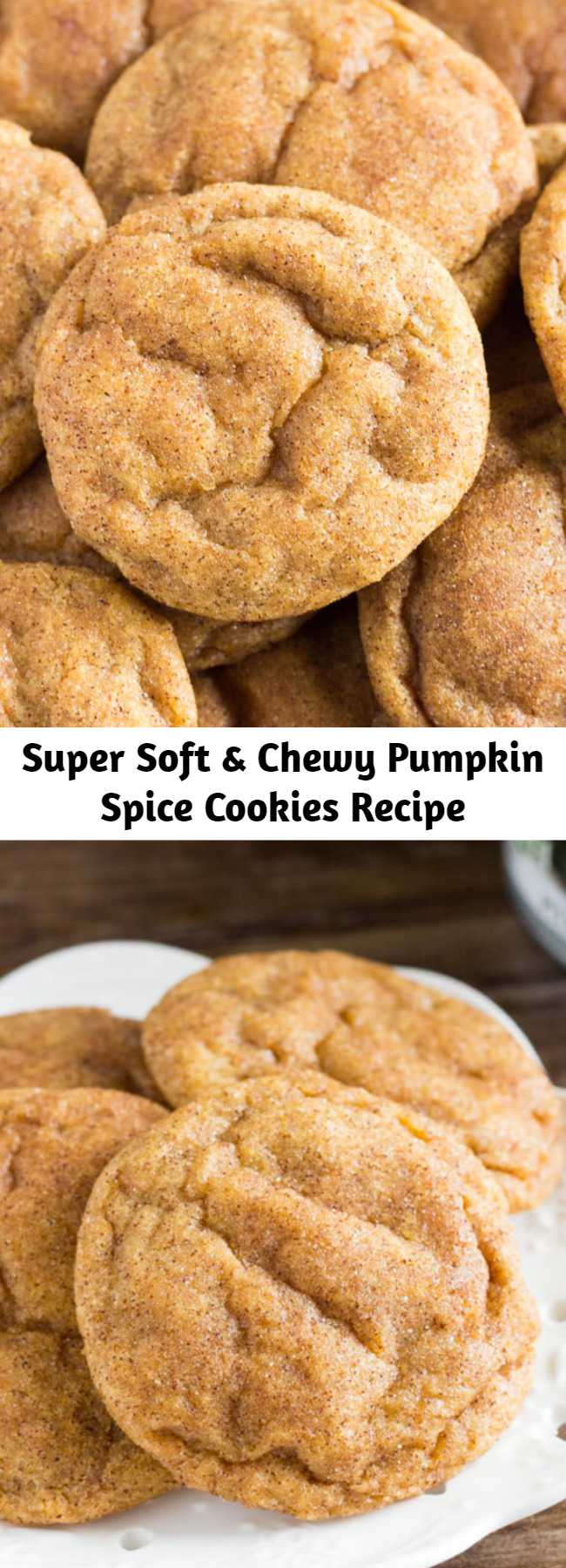 Super Soft & Chewy Pumpkin Spice Cookies Recipe - These pumpkin spice cookies are soft, chewy and perfect for fall. They’re filled with flavor thanks to the pumpkin, vanilla extract, & fall spices. Then they’re rolled in cinnamon sugar for a delicious coating that’ll remind you of snickerdoodles. 