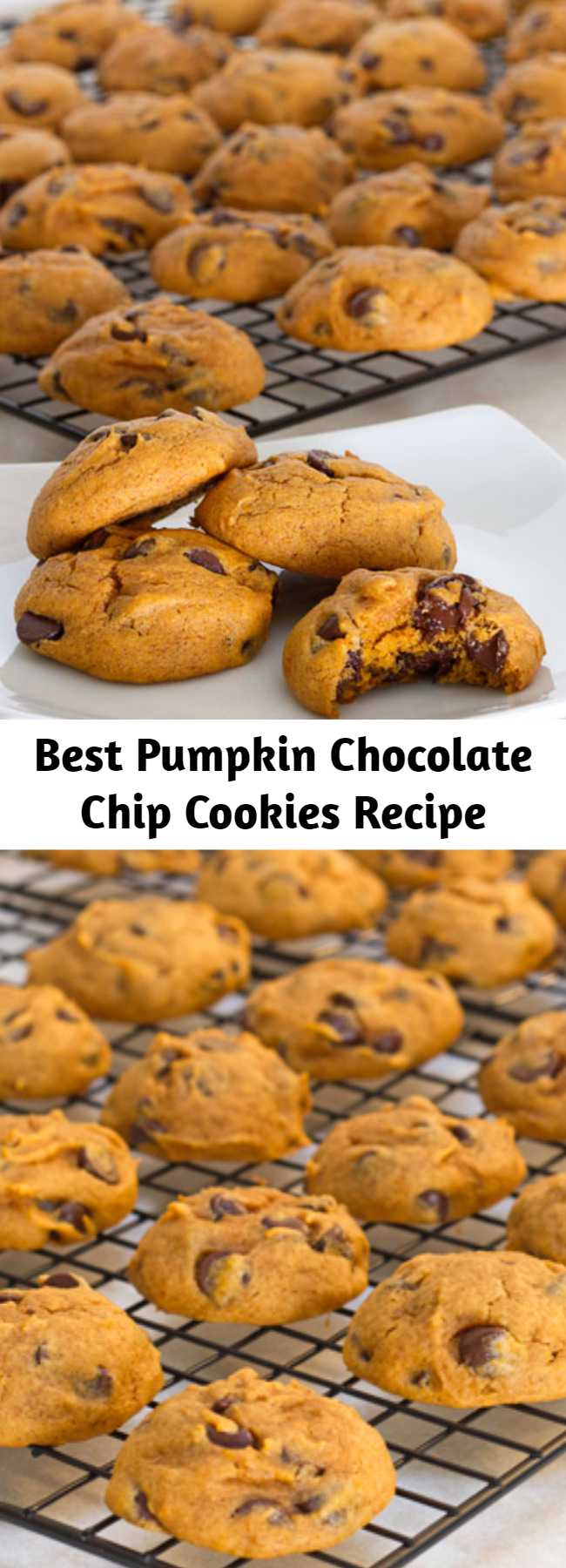 Best Pumpkin Chocolate Chip Cookies Recipe - These pumpkin chocolate chip cookies are the essential fall cookie! Chewy and cake-like, they're sure to be a hit at your next tailgate or fall party!