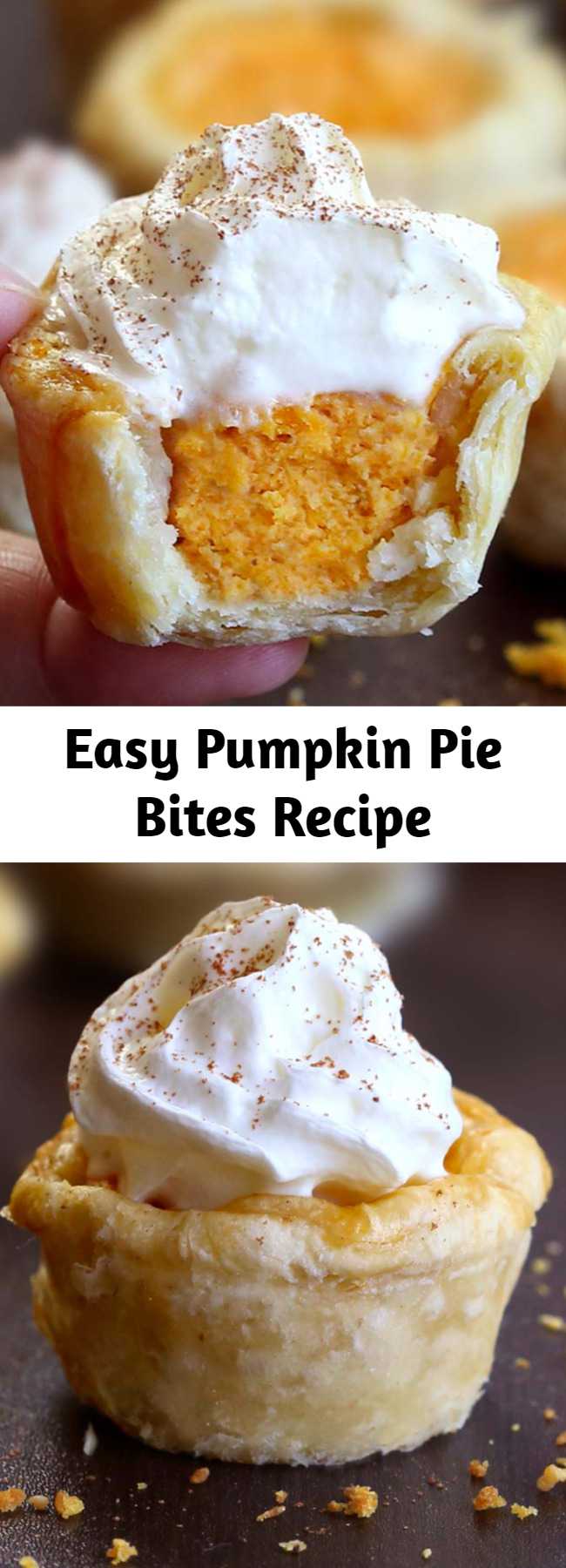 Easy Pumpkin Pie Bites Recipe - All the flavors of Homemade Pumpkin Pie packed into perfect portable fall dessert