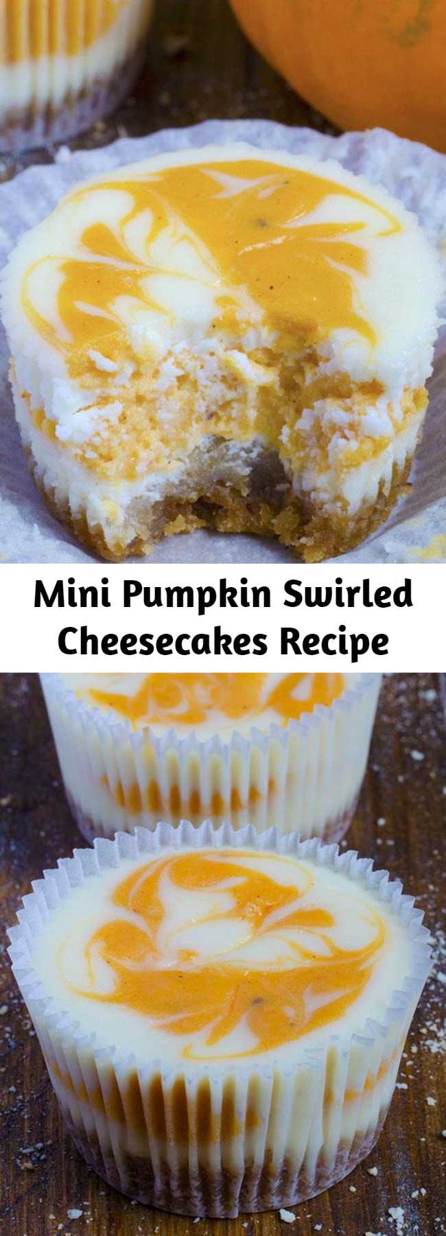 Mini Pumpkin Swirled Cheesecakes Recipe - I always adore sweet cheesecake bites but with pumpkin I got more than I expect! These gorgeous Mini Pumpkin Swirled Cheesecakes are the best homemade treat to satisfy your fall flavor cravings. Perfectly swirled and spiced for a delicious pumpkin dessert!