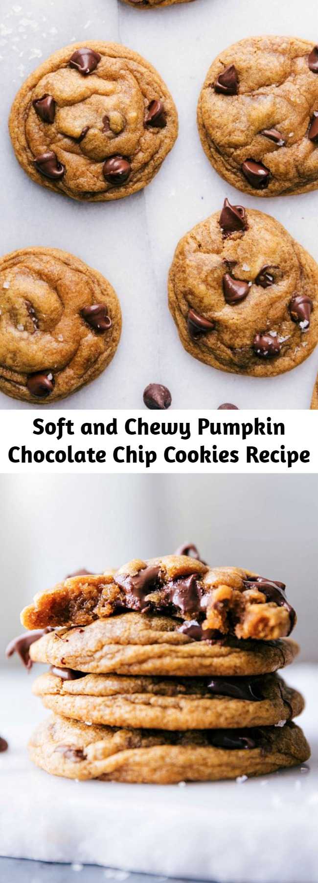 Soft and Chewy Pumpkin Chocolate Chip Cookies Recipe - The best-ever Pumpkin Chocolate Chip Cookies! These cookies are soft and chewy with crisp edges instead of typical cake-like pumpkin cookies.