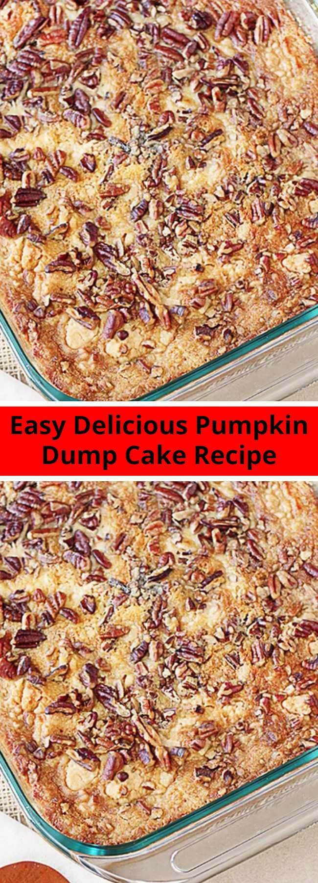 Easy Delicious Pumpkin Dump Cake Recipe - This recipe is a sure fire win for all of you pumpkin lovers!  Yellow cake mix, pumpkin, butter and pecans are the ingredients that make this Pumpkin Dump Cake a favorite — and ready under an hour! The name is exactly how the recipe comes together — by ‘dumping’ the ingredients into a 13×9 cake pan.  After baking, add a dollop of whip cream and enjoy this heavenly delight!