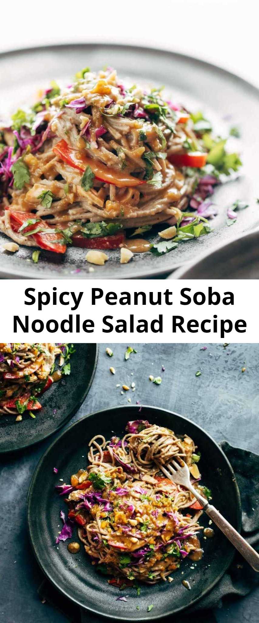 Spicy Peanut Soba Noodle Salad Recipe - Spicy Peanut Soba Noodle Salad featuring red peppers, cabbage, chicken, soba noodles, and a quick homemade spicy peanut sauce. Salads don’t get much yummier than this.