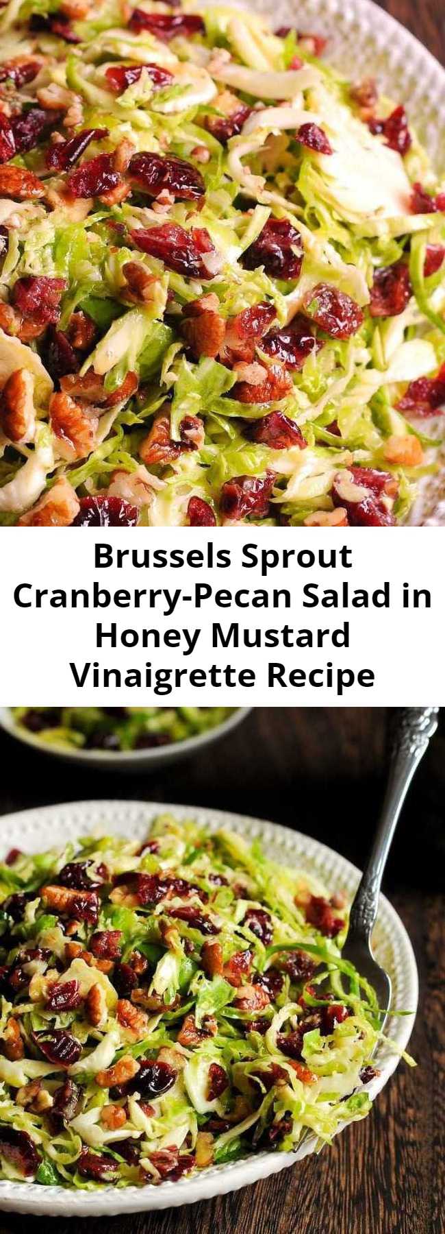 Brussels Sprout Cranberry-Pecan Salad in Honey Mustard Vinaigrette Recipe - This delicious Honey Mustard Brussels Sprout Salad with Cranberries and Pecans is all about crisp, shredded Brussels sprouts tossed with slightly sweet honey mustard vinaigrette, dried cranberries and chopped pecans. Perfect for potlucks or holiday meals, but you may find it to be a perfect complement to your everyday dinner as well. And it’s gluten-free! #salad #fall #thanksgiving #holiday #christmas #healthy