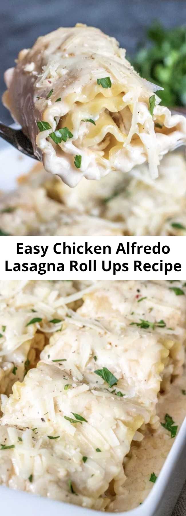 Easy Chicken Alfredo Lasagna Roll Ups Recipe - These Chicken Alfredo Lasagna Roll Ups are all of the flavors of classic Chicken Alfredo rolled up into lasagna noodles to make easy lasagna rolls. A simple weeknight dinner recipe that the whole family will love. #lasagna #chickenalfredo #pasta #casserole