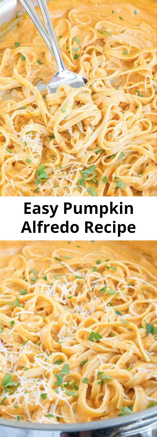 Easy Pumpkin Alfredo Recipe - This Pumpkin Alfredo is creamy, rich and delicious, and without all the calories and fat of a regular Alfredo sauce. A perfect fall dinner that's easy enough for a weeknight meal and you'll never miss the cream! - pumpkin recipes for the win!
