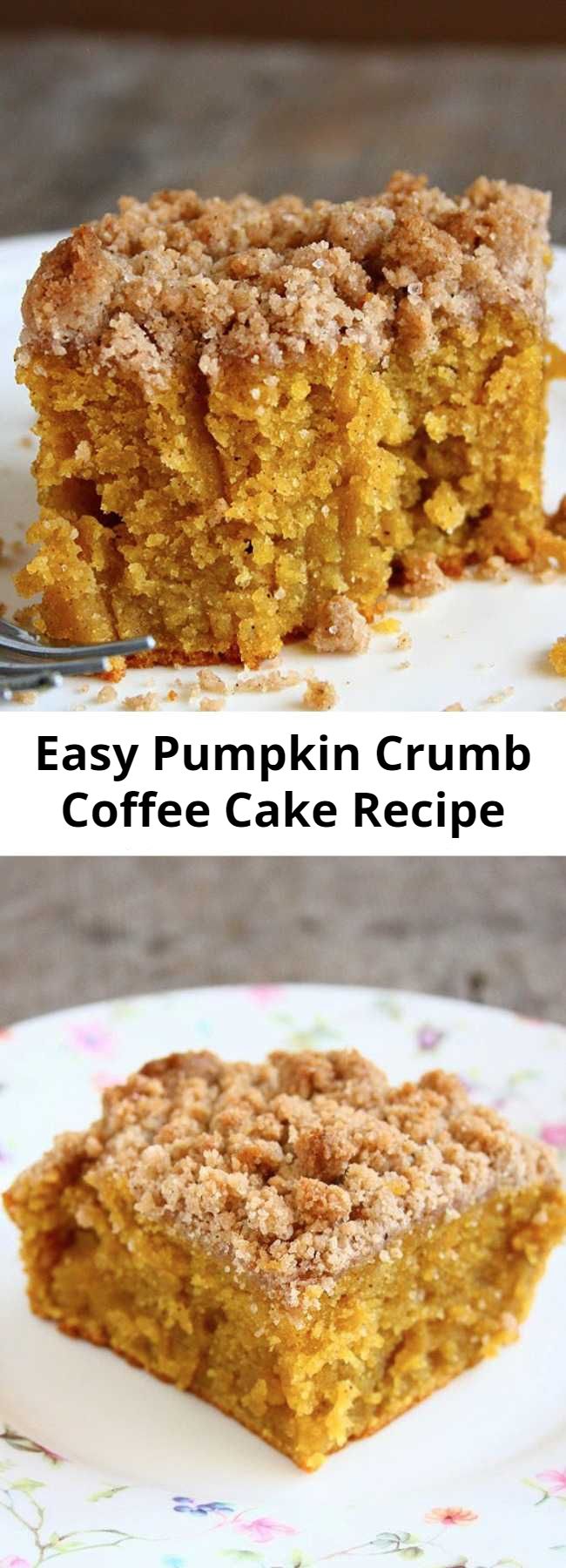Easy Pumpkin Crumb Coffee Cake Recipe - This was the moistest coffee cake EVER. I even wasn't sure if I can call this a coffee cake. This is insanely moist. And It keeps moist for days. It wasn't too sweet, too spicy, too dry, too moist. It had a perfect texture and a sweet, crunchy crumb topping. What else could you want??