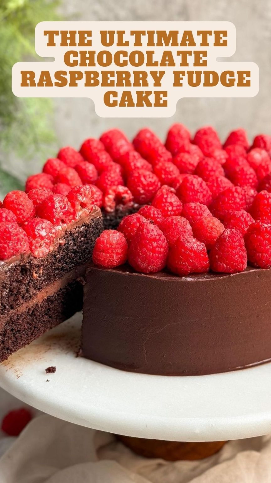 The ULTIMATE Chocolate Raspberry Fudge Cake 9am Chef