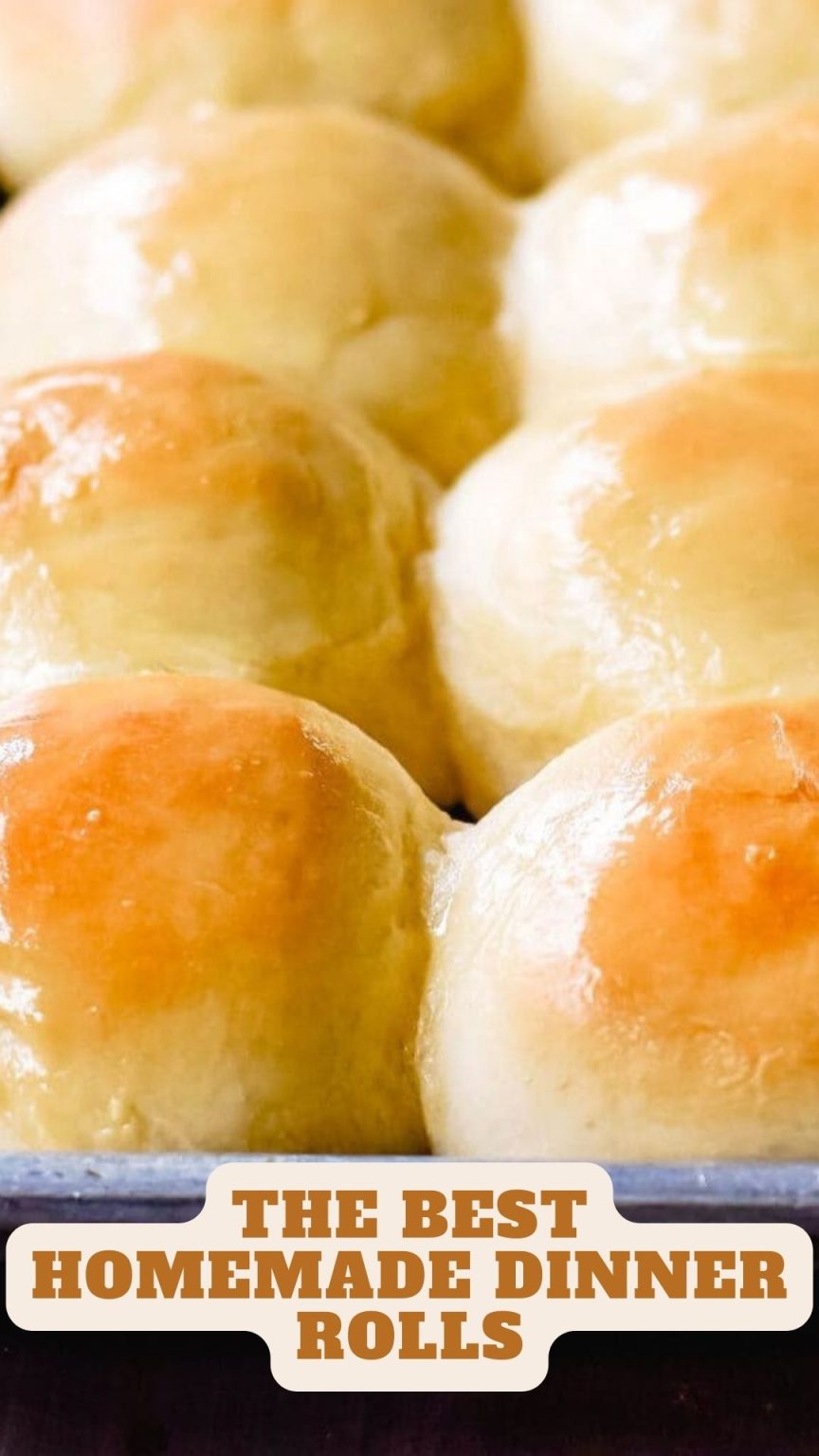 The Best Homemade Dinner Rolls – 9am Chef