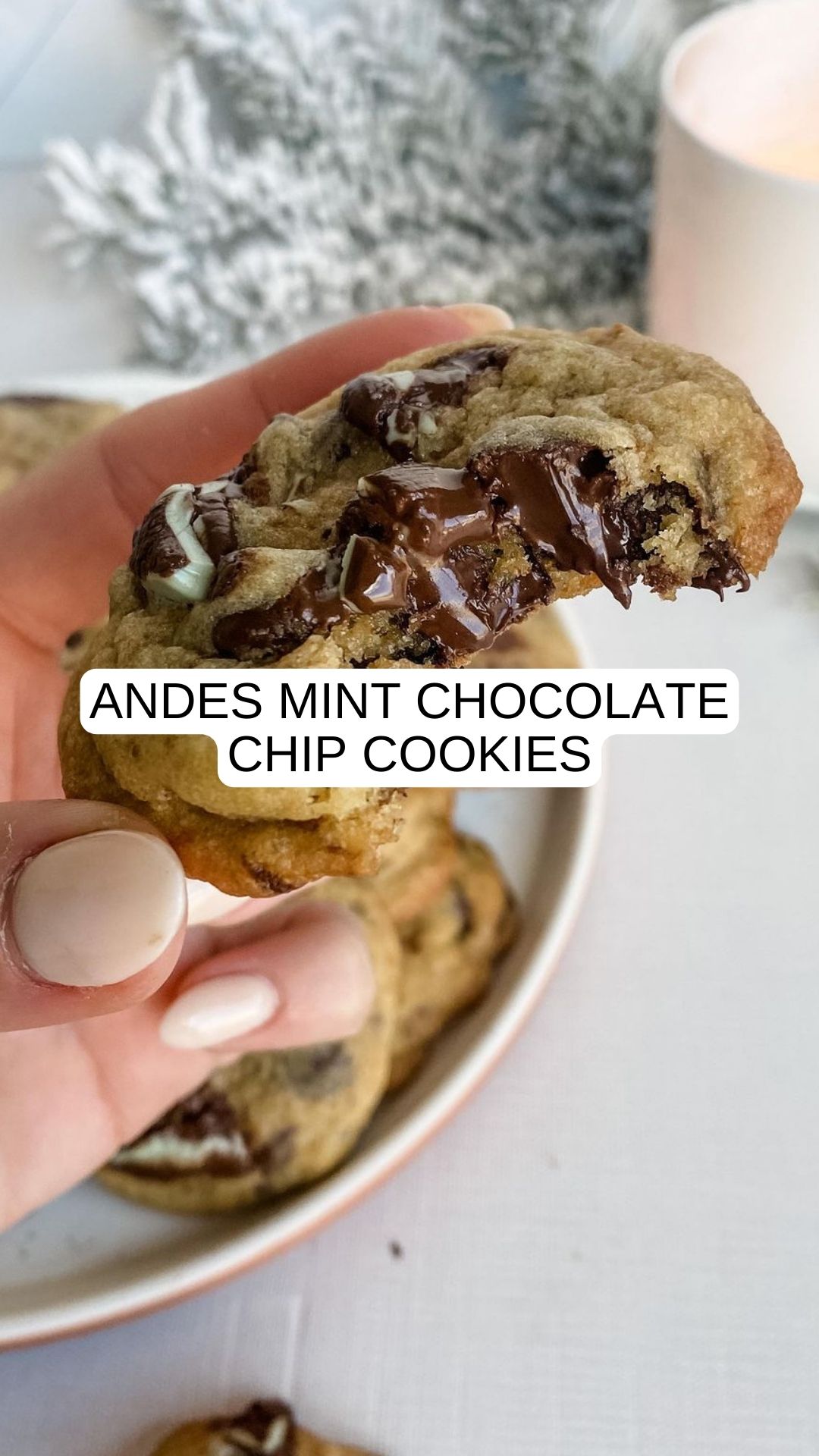 Andes Mint Chocolate Chip Cookies – 9am Chef
