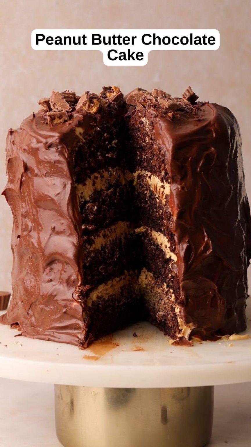 Peanut Butter Chocolate Cake – 9am Chef