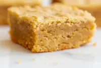 Close-up of a warm, crackly-topped Peanut Butter Brownies square with a melting scoop of vanilla ice cream beside it.